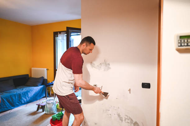 Best Home Mold Removal  in North Arlington, NJ